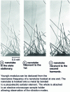 Figure 5 - Measuring the Young's modulus of a nanotube