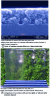 Figure 11 - Glass made self-cleaning by depositing a layer of anastase nanoparticles