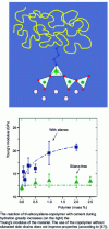 Figure 14 - Schematic representation of the bonding of trialkoxysilane copolymer to C-S-H