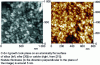 Figure 8 - Atomic force microscopy images of C-S-H nanoparticles