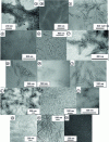Figure 14 - MET plates of diluted suspensions of CNC extracted from (a) acacia pulp [127], (b) esparto [128], (c) bleached softwood kraft pulp [129] [RE 350], (d) Capim Dourado [119], (e) cotton [130] [NM 3491], (f) eucalyptus [131], (g) kenaf [132], (h) Luffa cylindrica [133], (i) mengkuang leaves [134], (j) ramie [135], (k) rice straw [136], (l) sisal [137], (m) sugar beet pulp [97], (n) tunicin [138] and (o) wheat straw [139].