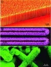 Figure 11 - Aligned ZnO nanowires on GaN substrate. Reproduced with permission from Copyright (2008) American Chemical Society