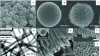 Figure 7 - Various TiO2 nanostructures: smooth or porous nanospheres (A, B and C), nanofibers and nanotubes (D, E, F and G). Reproduced with permission from [24], Copyright John Wiley and Sons (2010). Reproduced with permission from [23], Copyright Chemical Society of Japan (2011). Reproduced with permission from [25] and [26] Copyright (2004 and 2008) American Chemical Society