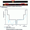 Figure 5 - Evolution of a wave packet in a graphene ribbon containing a boron impurity