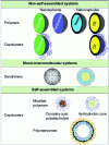 Figure 6 - Nanotechnologies based on polymers and copolymers