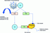 Figure 2 - Mechanism of complement activation by nanoparticles