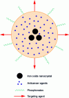 Figure 13 - Schematic representation of a multifunctional nanoparticle
