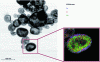 Figure 10 - Transmission electron microscope photo of a nano KMnO4 coated with a thin layer of Fe2O3.