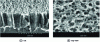 Figure 11 - Scanning electron microscope photograph of a nanoporous silicon sample 