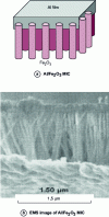 Figure 13 - Schematic diagram of Al/Fe2O3 MIC nanocomposites and SEM image of Al/Fe2O3 MIC.