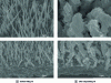 Figure 14 - Scanning electron microscope photograph of CuO