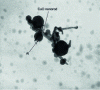 Figure 17 - Transmission microscope photograph of an Al/CuO nanocomposite (after [75] 2006 Materials Research Society).