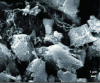 Figure 4 - Scanning powder microscopy of PETN with carbon nanotubes at micron granulometry