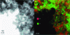 Figure 7 - Al/Fe2O3 nanocomposite prepared by sol-gel