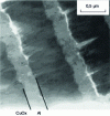 Figure 8 - Transmission electron microscope photograph of an Al/CuOx multilayer.