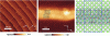 Figure 17 - Vacuum AFM images of nanowires obtained by self-assembly and photopolymerization on insulator and under UV radiation [25].