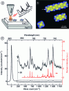 Figure 25 - Vibrational spectra obtained above a single phthalocyanine molecule at 4 K (black), where excitation comes from the STM tip electrons, compared with the Raman spectra of a ZnPc crystal (black) [37].