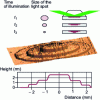 Figure 14 - Longitudinal nanostructuring of a photopolymerizable resin by evanescent wave illumination 