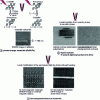 Figure 22 - Photolithography on other materials