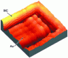 Figure 15 - TRSTM images  of the end of a gold strip deposited on SiC. Observation of the 2-dimensional confinement of the evanescent electromagnetic field