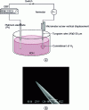 Figure 8 - (a) Schematic diagram of how a tungsten AFM tip is produced by electrochemical etching, (b) Scanning electron microscopy (SEM) image of a tungsten tip.