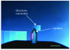 Figure 11 - Pre-localization of nanostructures deposited on a Surf during AFM analysis