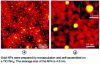 Figure 10 - STM images obtained in ultra-high vacuum [23]