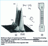 Figure 5 - 13C NMRI of a drawn polypropylene sample (from )