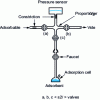 Figure 11 - Diagram of an adsorption manometer [13]