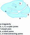 Figure 3 - Diagram of a porous grain