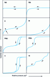 Figure 5 - IUPAC classification of physical adsorption isotherms [1]