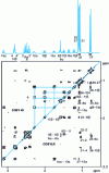 Figure 12 - Molecule 6. 2D COSY 45 map top left (10-11-12-13 system connections) and 2D COSY LR map bottom right (long-distance connections)