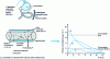 Figure 1 - Highly simplified diagram of the release process of an orally-absorbed PA active ingredient and its passage into the bloodstream; corresponding blood level curves.