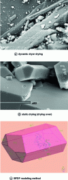 Figure 12 - Morphological modelling of shape B using the BFDH method and facies obtained from the same shape B