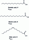 Figure 15 - Example of three different fatty acids used in triglyceride synthesis