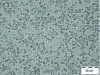 Figure 12 - Photograph of an aqueous solution of NaCl 30 g/L in a Light Arabian crude oil, analyzed using an optical microscope.