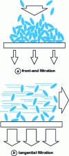 Figure 2 - Frontal and cross-flow filtration