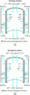 Figure 2 - Schematic representation of a hollow-fiber suppression device for the separation of anions (a ) and cations (b ) (after [11]).