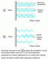 Figure 18 - Representation of the two retention models in reverse-phase partition chromatography 