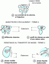 Figure 3 - Different elution peak spreading factors