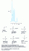 Figure 40 - Separation of arsenic anions by ion pair chromatography, from [44]