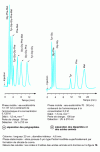 Figure 44 - Separation of methionine-enkephalin enzymatic degradation fragments by ligand exchange chromatography in two isocratic elutions