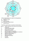 Figure 51 - Interactions between criteria for assessing the quality of a chromatographic analysis, experimental parameters and derived fundamental quantities, from [67]