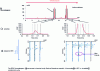 Figure 16 - Illustration of achiral-chiral separation of a pharmaceutical sample by sRPLC×SFC [33].