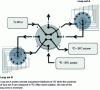 Figure 17 - Schematic representation of the valve system used in selective comprehensive mode (sLC×LC or sLC×SFC).