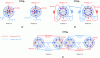 Figure 3 - Diagram of the different interfaces used for online LC×LC