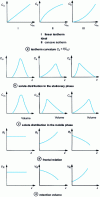 Figure 15 - Solute distribution in the phases according to the isotherm curve [43]