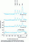 Figure 2 - Chromatograms of the unextracted calibration range. Method No. 2; before revelation; densitometric reading at 280 mm