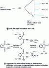 Figure 2 - Precursor ion spectrum and formation mechanisms