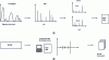 Figure 5 - SM/SM database: creation and search